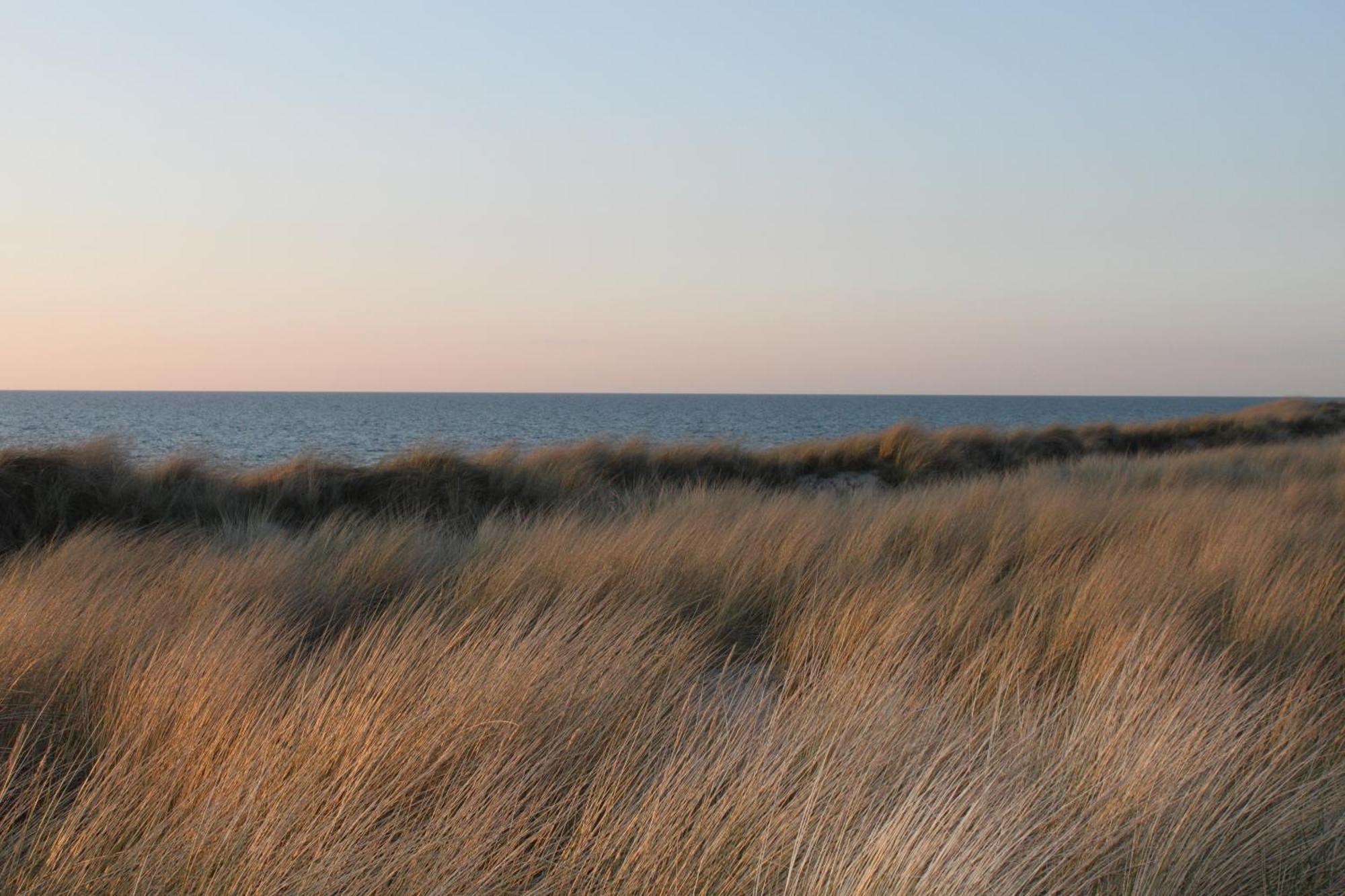 -"Strandhaus Friedrich"- Dierhagen Dış mekan fotoğraf